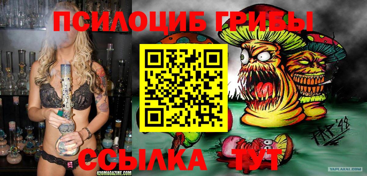 Псилоцибиновые грибы Magic Shrooms Владивосток