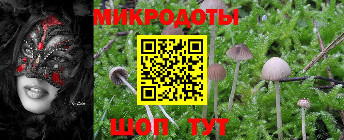 Псилоцибиновые грибы мицелий  Вход с VPN  Владивосток  Псилоцибиновые грибы MAGIC MUSHROOMS 